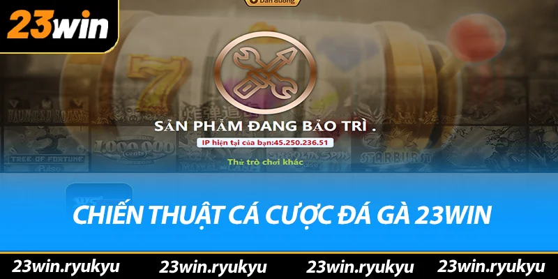 Đá Gà 23win - Địa Điểm Cá Cược Trực Tuyến Hấp Dẫn Năm 2025 Chiến thuật cá cược đá gà 23win